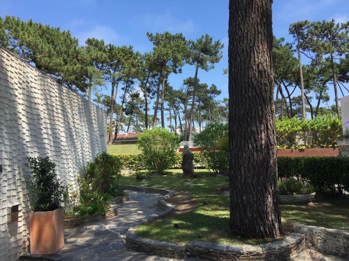 Ofir Beach House Bonanca เอสโปเซนเด ภายนอก รูปภาพ